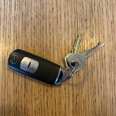Sleutelbos met autosleutel, iLost에 보고됨