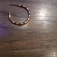 귀걸이, iLost를 사용하여 Leonardo Royal Hotel Amsterdam에 보고됨