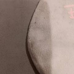 Mazlící hračka, jak nahlášeno De Efteling pomocí iLost