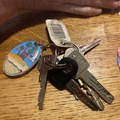 Keys sleutelbos, ha sido reportado a iLost