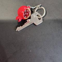 鍵 がiLostで Gemeente Ermelo によって報告されました