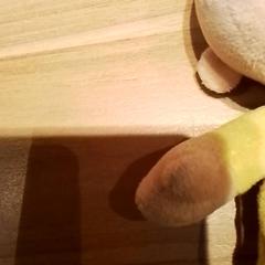 Peluche, como reportado por Beekse Bergen Resorts en Hotel utilizando o iLost