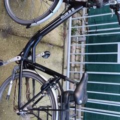 Bicicleta feminina de ruyter, segundo informou Stadswerk072 usando iLost