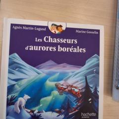 Libro de niños, ha sido reportado por IKEA Avignon con iLost