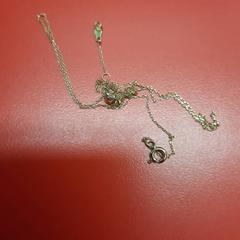 Collier, a été signalé par UvA REC utilisant iLost