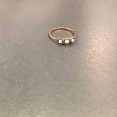 Ring, zoals gemeld door Eindhoven Airport met iLost