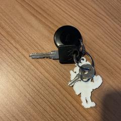 Nyckelring, rapporterat av Breng Arnhem med iLost