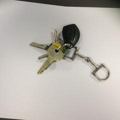 키체인, iLost를 사용하여 Breng Nijmegen에 보고됨