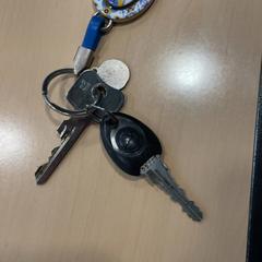 Keys Zwart gazelle, as reported by Jaarbeurs using iLost