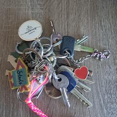 Sleutelbos, ako bolo nahlásené iLost