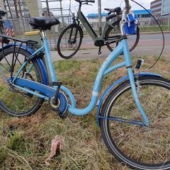 Blauwe damesfiets, ako bolo nahlásené iLost