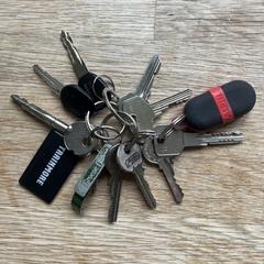 Sleutelbos keys, iLost-i jakinarazi zaion moduan