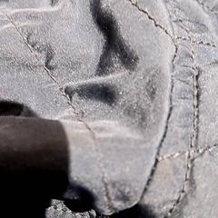 Dzseki, amint azt De Efteling az iLost segítségével jelentette.