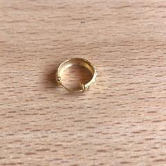 귀걸이, iLost를 사용하여 Attractie- & Vakantiepark Slagharen에 보고됨