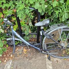 Dámsky bicykel, ako bolo nahlásené Gemeente Roermond pomocou iLost