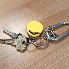 Sleutelbos, zoals gemeld door RRReis Veluwe Zuid - Ede met iLost