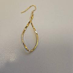 귀걸이, iLost를 사용하여 Vrije Universiteit Amsterdam에 보고됨