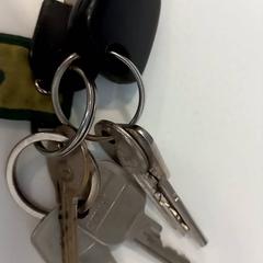 Nøkkelring, som rapportert av Arriva Limburg Noord ved bruk av iLost