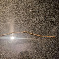 Náramek, jak nahlášeno Van der Valk Hotel Wolvega Heerenveen pomocí iLost