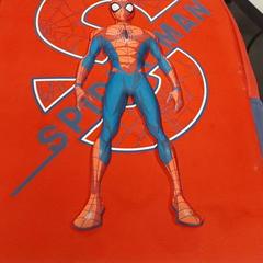 Rugzak - Spiderman، كما تم الإبلاغ عنه بواسطة Centraal magazijn عبر iLost