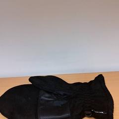 Luva, segundo informou Keolis Lund usando iLost