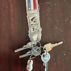 Sleutelbos an iLost gemeldet