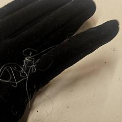 Handschuh, gemeldet von GVB über iLost