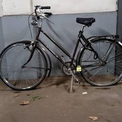 Kvinners sykkel Superia Bruin, som rapportert av Fietsdepot Hasselt ved bruk av iLost