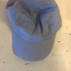 Pet, zoals gemeld door Artis met iLost