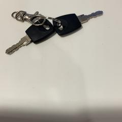 Keys 2 small black keys, as reported by TU/e - Receptie Atlas using iLost