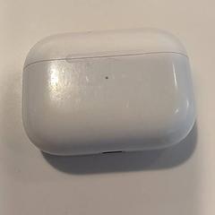 Rato, segundo informou RAI Amsterdam usando iLost