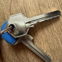 Sleutel met sleutelhanger, iLost에 보고됨