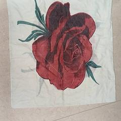 Kissenbezug, gemeldet von Qbuzz GD Groningen Peizerweg über iLost