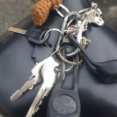 Sleutels, as reported to iLost