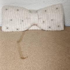 Ear warmer Wit, as reported by Qbuzz GD Groningen Peizerweg using iLost