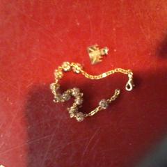 Armband, ako bolo nahlásené Apenheul pomocou iLost