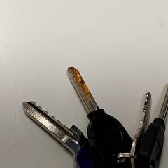 Chaves, segundo informou Centraal magazijn usando iLost