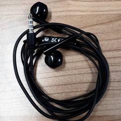 Oortjes Zwart, rapporterat av Transdev Hoeksche Waard Goeree Overflakkee med iLost