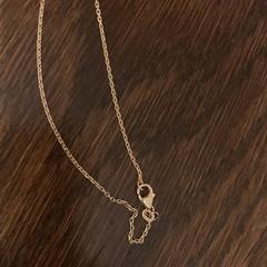 Gouden kettinkje, som rapporterats till iLost