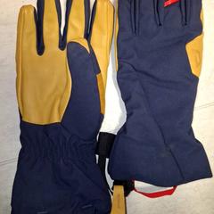 Gloves, as reported by Qbuzz DMG using iLost