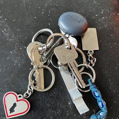 Sleutelbos, iLost'a bildirildiği gibi