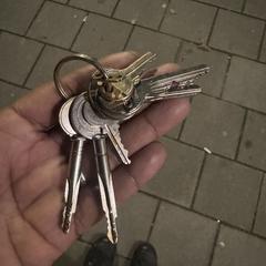 Sleutelbos, som rapporterats till iLost
