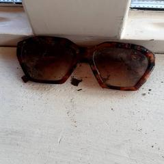 İLost kullanarak DierenPark Amersfoort tarafından bildirildiği gibi Zonnebril