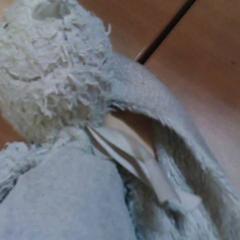 Knuffel, gemeldet von Het Spoorwegmuseum über iLost