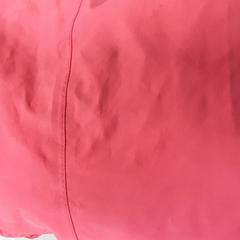 Txamarra Roze, gisa salatu by Arriva Friesland / Groningen iLost erabiliz