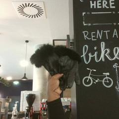 Glove black, ako bolo nahlásené MEININGER Hotel Vienna Downtown Franz pomocou iLost