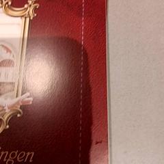 Attractiefoto symbolica, como reportado por De Efteling utilizando o iLost