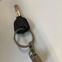 المفاتيح (متنوعة)، كما تم الإبلاغ عنه بواسطة Regio Oost-Vlaanderen عبر iLost