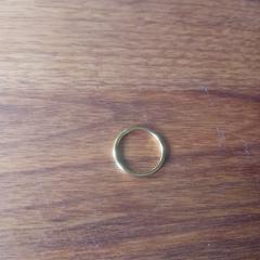 Ring, iLost에 보고됨