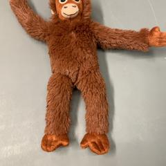 Peluix, segons ha informat IKEA Haarlem mitjançant iLost